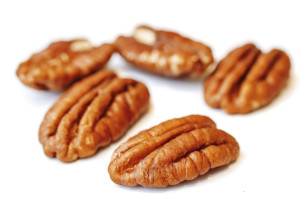 Pecan nuts on white background